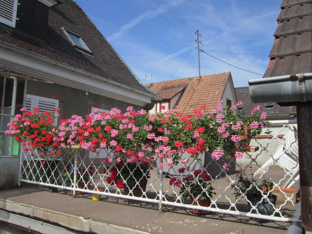 Gite Faubourg Des Pierres Sigolsheim Eksteriør billede